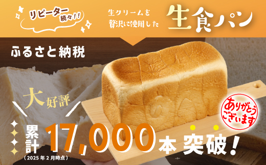 【 お試し 容量 】生食パン 1本 おためし 少量 ふんわり やわらかい 冷凍 冷凍便 保存食 冷凍パン パン 食パン パンのピノキオ 特製 大人気 人気 リピーター 高級食パン 朝食 グルメ ベーカリー パン屋 お取り寄せ 高知 四万十 しまんと 24-27