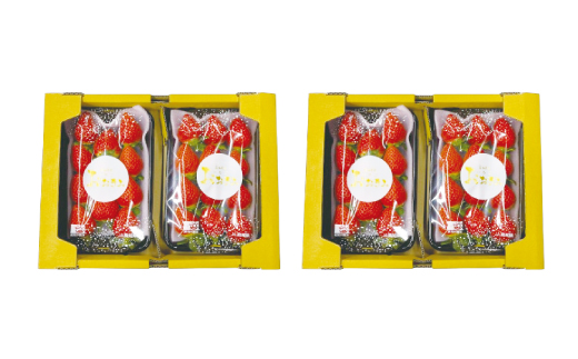 ã æ©æåä» æ°ééå® ã èº ã®è²Žå©Šäºº ãããã¿ ã¬ã®ã¥ã©ãŒ 4ãã㯠ãã«ãŒã æç© ãã¡ã ã¹ããããªãŒ é«çŽ äººæ° å€§ç² ãã¬ãã¢ã éå®å é«ç¥ç é«ç¥ åäžååž åäžå ããŸããš ãåãå¯ã ã2026幎2æããé æ¬¡çºéäºå®ã25-773