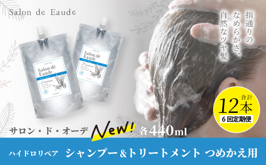 6回 定期便 サロン・ド・オーデ ハイドロリペア シャンプー ＆ トリートメント つめかえ用 各 440ml 2本 セット 合計 12本 ダメージ補修 ボトル 液体 アロインス製薬 美容 美容品 化粧品 日用品 消耗品 高知 高知県 四万十 四万十市 しまんと 25-106