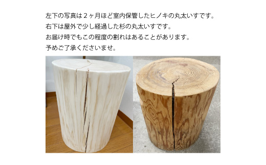 26-011シ主屁荳蜊√イ縺ョ縺堺クク螟ェ繧、繧ケ