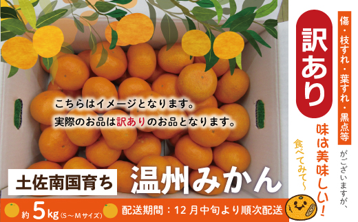 24-508．【訳あり】【早期受付・期間限定・数量限定】土佐南国育ち！甘いがうまい！温州みかん 5kg（家庭用）【2024年12月中旬～2025年1月上旬配送】