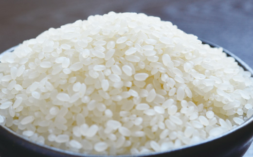 【 ギフト にも オススメ ギフト包装 入り】四万十市産 米 ヒノヒカリ 2kg × 2袋 計 4kg 四万十川の支流で育った 山間米 高知県 高知 四万十 しまんと お米 白米 精米 ひのひかり 【1～2合炊飯する方におススメ！】26-0028