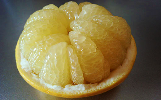 ãæ©æåä»ã»æ°ééå®ãçæã®åäœææŠ5kg å®¶åºçš äºçŽ å
è¡ å
è¡åä» æ©æ æ©æåä» æ°ééå® 2026幎é
é å®¶åºçš 5kg å€§äººæ° ãªããŒã¿ãŒ éå® åœç£ ãã«ãŒã æç© æ¬ ææŠ ã¶ããã ãã³ã¿ã³ åäœææŠ ææ© ææ©é¡ ãªã¹ã¹ã¡ åäžååž åäžå ããŸããš é«ç¥ç é«ç¥ ååœ åäœ ååœ ç£å°çŽé 蟲家çŽé ãåãå¯ã éæç¡æ ã2026幎2æäžæ¬ããçºéãR7-551