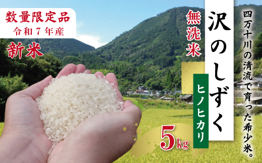 【5kg】令和7年産 米 ヒノヒカリ 無洗米 精米 白米 沢のしずく 5kg×1袋 2025年 四万十市産 国産 ひのひかり おこめ こめ コメ ご飯 ごはん おいしい ふっくら もちもち 高知県 四万十市 四万十 しまんと お取り寄せ 25-0002