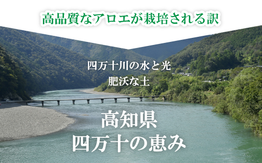 23-700．濃厚な100％エキス・四万十産有機キダチアロエ使用「四万十アロエナチュラルエキス100％ 500ml（1本）」