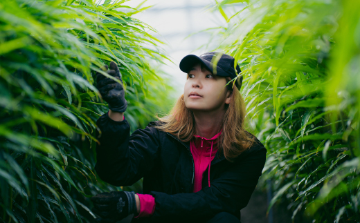 ã å±±ïšçå§èŸ²å ã çå§èŸ²å®¶ ãäœã£ã çå§ã¹ãã€ã¹ 4æ¬ ã»ãã ïŒ çå§å¡©ã»çŽ
çå§å¡©ã»ã«ãã«ãçŽ
çå§å¡©ã»çå§ããŠããŒïŒ ç²æ« ããŠããŒ èª¿å³æ ã¹ãã€ã¹ å¡© ãã çå§ ãããã ã·ã§ãŠã¬ ãžã³ãžã£ãŒ ã«ãã«ã ãã³ã㯠é«ç¥ç é«ç¥ åäžååž åäžå ããŸããš 25-328