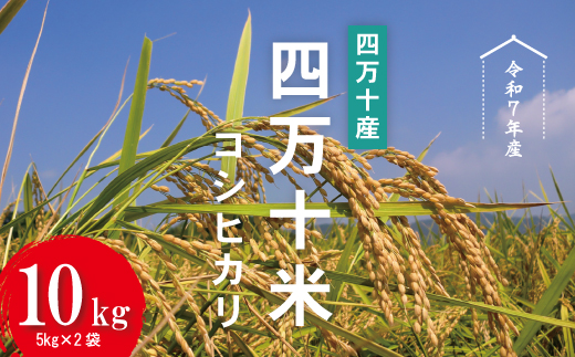 【令和7年産】四万十産 四万十米 コシヒカリ 10kg（5kg×2袋） 国産 こしひかり 5kg 令和7年 2025年 精米 白米 米 おこめ こめ コメ ご飯 ごはん ふっくら もちもち 四国 高知 四万十 しまんと 四万十川 R7-945