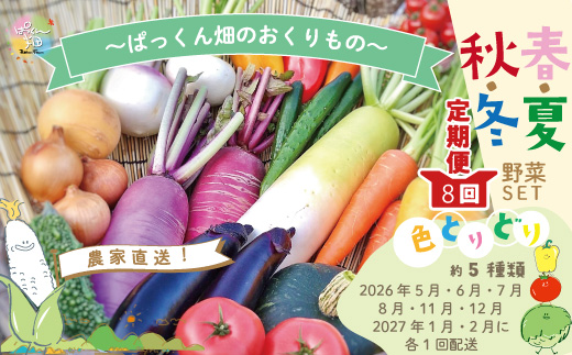 【 早期受付 8回 定期便 】 旬な野菜セット 約5種類 とれたて 新鮮 ぱっくん畑のおくりもの 農家直送 国産 野菜 やさい 高知県 高知 四万十市 四万十 しまんと 野菜便 限定 【2026年5月～8月、11月～2027年2月に月1回発送】25-813