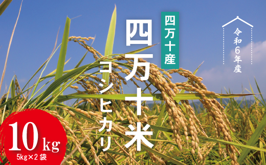 24-945．【令和6年産】四万十産 四万十米（コシヒカリ）10kg（5kg×2袋）