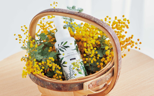 ã ãã¢ãã¢ã¶ ãã ã®ããç®±å
¥ ã ãã¢ãã¢ã¶ ãã³ãã¯ãªãŒã ïŒ ãã³ãã¯ãªãŒã³ãžã§ã« ïŒ ãã³ããœãŒã å1æ¬ ãã³ãã±ã¢ ã»ãã åç²§ç®± ã®ããç®± ãã¢ã¶ ã ãµããã æãããéŠã ã®ãã ãã¬ãŒã³ã èŽç çŸå®¹ ã³ã¹ã¡ é«ç¥ç é«ç¥ åäžååž åäžå ããŸããš 26-77