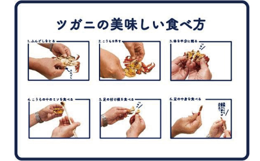 【 訳あり 数量限定 】 天然 ツガニ 約 1kg （8～12匹） 訳アリ 訳あり品 濃厚 うまみ 魚介 蟹 かに カニ つがに モクズガニ もくずがに 人気 リピーター お取り寄せ だし 味噌汁 炊き込みごはん 四万十川 グルメ 高知県 高知 四万十市 四万十 しまんと 24-030W