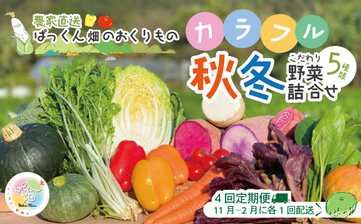 【 早期受付 4回定期便 】 とれたて 新鮮 ！ぱっくん畑のおくりもの 農家直送 秋・冬 野菜セット 約5種類 国産 野菜 やさい ベジタブル 先行 予約 高知県 高知 しまんと 四万十市 野菜便 限定 お取り寄せ 秋野菜 冬野菜 【2026年11月～2027年2月まで毎月1回配送】26-055