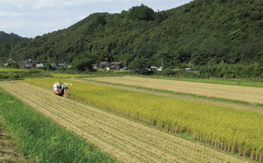 ã什å7å¹Žç£ æ°ééå®ã åäžå ã® ç±³ã©ãã å±±éå°åã§è²ãŠã 倧宮米 ã³ã·ãã«ãª 10kg é«ç¥ç é«ç¥ ããŸããš åœç£ ãç±³ ç±³ çœç±³ 粟米 ããã²ãã äœèŸ²è¬æ œå¹ ã飯 ç£å°çŽé 25-305