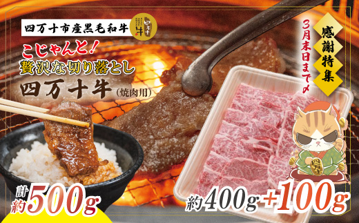 【感謝・期間限定100g付き】＜100個限定＞ 牧場直送 四万十牛（メス牛）こじゃんと贅沢な切り落とし（焼肉用）約500g（400g＋100g）国産 高知 しまんと 四万十 牛 四万十牛 メス牛 牧場直売 肉 牛肉 和牛 黒毛和牛 ご褒美 贅沢 焼肉 バーベキュー BBQ 牛モモ 牛バラ 切り落とし【2026年3月31日まで受付】26-530Z