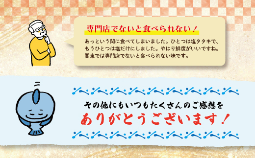 R6-004．【５月・７月・９月にお届け・３回定期便】中村でしか食べられない中村伝統の味「カツオの塩タタキセット」『生』（約400ｇ 約3〜4人前）