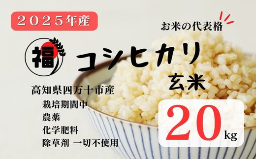 【令和7年産】四万十市産 コシヒカリ 玄米 20kg（栽培期間中農薬・ 化学肥料・除草剤不使用）国産 こしひかり 令和7年産 2025年産 米 おこめ こめ コメ ご飯 ごはん ふっくら もちもち 四国 高知 四万十 しまんと 農薬・化学肥料・除草剤不使用 農家直送 高知県四万十市産 蕨岡の百姓 福留壯 オーガニック 25-0017
