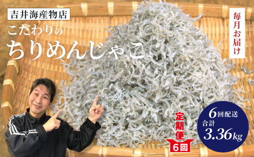 6回 定期便 こだわり の ちりめんじゃこ 560g 【毎月お届け】 計3.36kg 冷凍 小分け 便利 惣菜 海の幸 じゃこ 無添加 無着色 国産 小魚 魚介 海産物 シーフード グルメ お取り寄せ 25-751