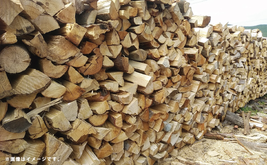 【 数量限定 】 ストーブ 薪 ミックス 1年乾燥 主にシイ 約16kg ヒノキの焚き付け薪入り 椎の木 椎 広葉樹 まき 燃料 木材 たき火 焚き火 焚火 BBQ キャンプ アウトドア 災害用 冬 別荘 高知 高知県 四万十市 四万十 しまんと 【2026年2月下旬より順次発送】 26-52