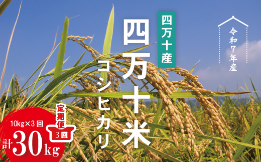 令和7年産 3回 定期便 四万十産 四万十米 コシヒカリ 10kg （5kg×2袋）×3回（計30kg） 国産 こしひかり コシヒカリ 30kg 2025年 精米 白米 米 おこめ こめ コメ ご飯 ごはん ふっくら もちもち 四国 高知 四万十 しまんと R7-946