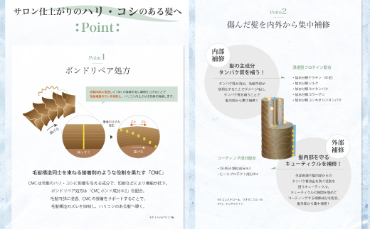 3回 定期便 サロン・ド・オーデ ボンドリペア シャンプー ＆ トリートメント 各 500ml 2本 セット 合計 6本 ダメージ補修 ボトル 液体 アロインス製薬 美容 美容品 化粧品 日用品 消耗品 高知 高知県 四万十 四万十市 しまんと 26-139
