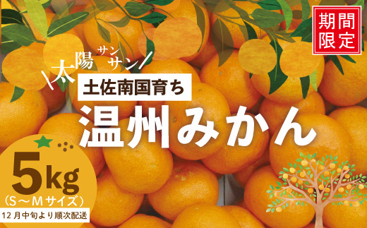 24-502．【早期受付・期間限定・数量限定】土佐南国育ち！甘いがうまい！温州みかん 5kg【2024年12月中旬～2025年1月上旬配送】