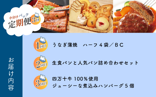 【 3回 お届け 】 便利 でうれしい！ 小分け 定期便 毎月届く 小分けパック ストック 保存食 冷凍 冷凍食品 惣菜 おかず パン 冷凍パン 食パン うなぎ 鰻 ハンバーグ お弁当 弁当 ごちそう 贅沢 高知 四万十市 四万十 しまんと 25-0020