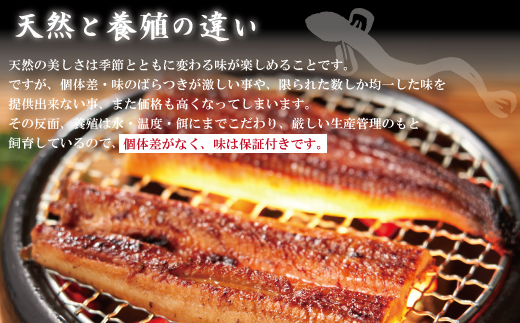 R6-1033．【3回定期便】3ヵ月連続＜四万十食品＞うなぎ蒲焼きざみ5袋(合計225g) ／Ｋ5