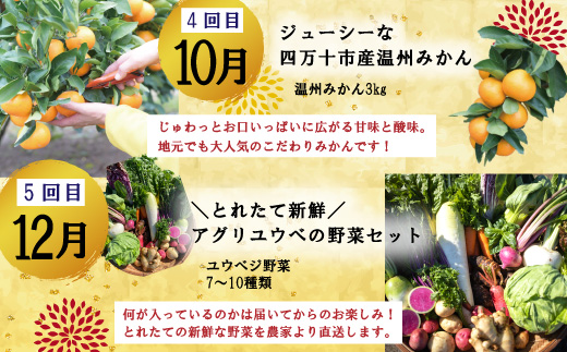 24-615．【年末限定】【5回定期便】四万十の人気グルメお楽しみ定期便 しまんとふるさと定期便5万円Bコース