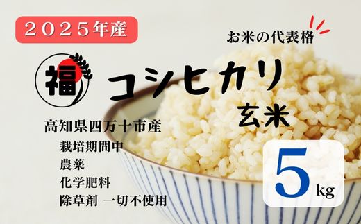 【令和7年産】四万十市産 コシヒカリ 玄米 5kg 栽培期間中農薬・ 化学肥料・除草剤不使用 国産 こしひかり 2025年産 米 こめ コメ ご飯 高知 四万十 しまんと 農家直送 蕨岡の百姓 福留壯 オーガニック 25-0015