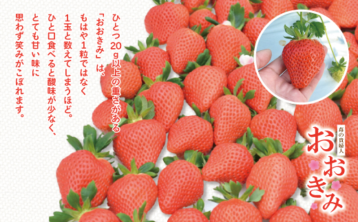 ã æ©æåä» æ°ééå® ã èº ã®è²Žå©Šäºº ãããã¿ ã¬ã®ã¥ã©ãŒ 4ãã㯠ãã«ãŒã æç© ãã¡ã ã¹ããããªãŒ é«çŽ äººæ° å€§ç² ãã¬ãã¢ã éå®å é«ç¥ç é«ç¥ åäžååž åäžå ããŸããš ãåãå¯ã ã2026幎2æããé æ¬¡çºéäºå®ã25-773