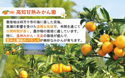 ãæ©æåä»ã»æ°ééå®ãçæã®åäœææŠ5kg å®¶åºçš äºçŽ å
è¡ å
è¡åä» æ©æ æ©æåä» æ°ééå® 2026幎é
é å®¶åºçš 5kg å€§äººæ° ãªããŒã¿ãŒ éå® åœç£ ãã«ãŒã æç© æ¬ ææŠ ã¶ããã ãã³ã¿ã³ åäœææŠ ææ© ææ©é¡ ãªã¹ã¹ã¡ åäžååž åäžå ããŸããš é«ç¥ç é«ç¥ ååœ åäœ ååœ ç£å°çŽé 蟲家çŽé ãåãå¯ã éæç¡æ ã2026幎2æäžæ¬ããçºéãR7-551