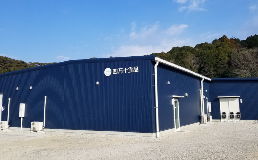 つぶつぶ 野菜 で おいしい 四万十の野菜 ドレッシング 3種 セット（とまと・玉葱・生姜） サラダ 調味料 ベジタブル ギフト お中元 お歳暮 贈答 高知 四万十 しまんと【 化学調味料 保存料 乳化剤 無添加 】26-0037