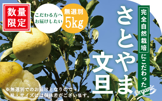 24-505．【早期受付・期間限定・数量限定】しまんと流域　栽培期間中農薬・化学肥料不使用！さとやま文旦5kg（無選別）【2025年2月下旬～3月下旬配送】