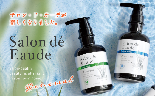 3回 定期便 サロン・ド・オーデ ボンドリペア シャンプー ＆ トリートメント 各 500ml 2本 セット 合計 6本 ダメージ補修 ボトル 液体 アロインス製薬 美容 美容品 化粧品 日用品 消耗品 高知 高知県 四万十 四万十市 しまんと 26-139