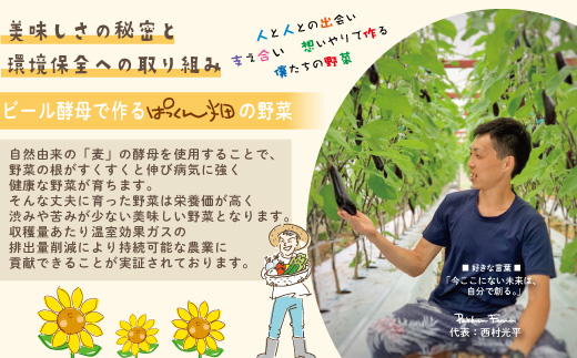 24-800．【早期受付】とれたて新鮮！ぱっくん畑のおくりもの～農家直送！春・夏野菜セット（約5種類）～【2025年5月～8月の間に1回配送】