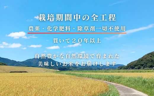 【令和7年産】四万十市産 コシヒカリ 玄米 5kg 栽培期間中農薬・ 化学肥料・除草剤不使用 国産 こしひかり 2025年産 米 こめ コメ ご飯 高知 四万十 しまんと 農家直送 蕨岡の百姓 福留壯 オーガニック 25-0015