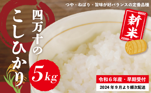 R6-148．【令和6年産新米・早期受付】四万十のこしひかり5kg【2024年9月より順次配送】