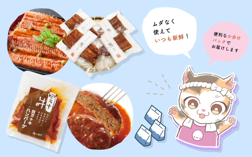 【 3回 お届け 】 便利 でうれしい！ 小分け 定期便 毎月届く 小分けパック ストック 保存食 冷凍 冷凍食品 惣菜 おかず パン 冷凍パン 食パン うなぎ 鰻 ハンバーグ お弁当 弁当 ごちそう 贅沢 高知 四万十市 四万十 しまんと 25-0020