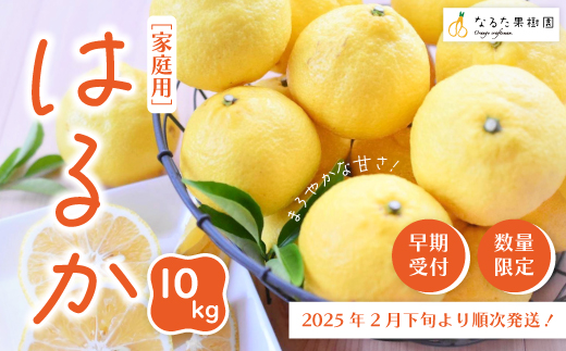 24-351．【早期受付・期間限定・数量限定】爽やかな甘さ！なるた果樹園の四万十市産 はるか10kg (家庭用) 【配送時期：2025年2月下旬～4月上旬】