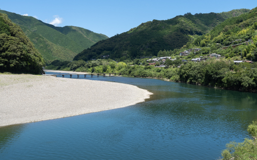 つぶつぶ 野菜 で おいしい 四万十の野菜 ドレッシング 3種 セット（とまと・玉葱・生姜） サラダ 調味料 ベジタブル ギフト お中元 お歳暮 贈答 高知 四万十 しまんと【 化学調味料 保存料 乳化剤 無添加 】26-0037