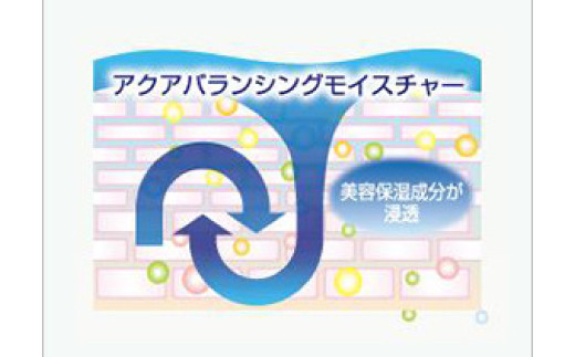 22-340．【3回定期便】あろえの森 浸透保湿化粧水 300ml（2個セット）