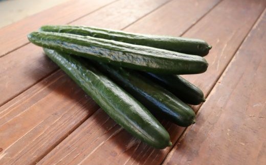 四万十市産 きゅうり 2kg 朝採れ 新鮮 野菜 やさい 高知県産 国産 胡瓜 キュウリ みずみずしい 産地直送 お取り寄せ 旬 ハウス栽培 農家直送 高知県 高知 四万十市 四万十 しまんと【発送時期：11月中旬～4月下旬】26-0030