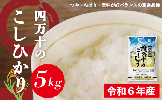 6-148．【令和6年産】四万十のこしひかり5kg