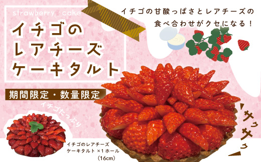 24-504．【数量限定・期間限定】イチゴたっぷり！イチゴのレアチーズタルト【2025年1月中旬～4月下旬配送】