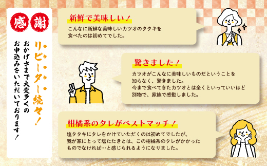 R6-004．【５月・７月・９月にお届け・３回定期便】中村でしか食べられない中村伝統の味「カツオの塩タタキセット」『生』（約400ｇ 約3〜4人前）