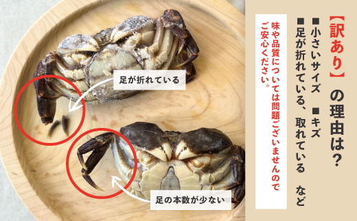 【 訳あり 数量限定 】 天然 ツガニ 約 1kg （8～12匹） 訳アリ 訳あり品 濃厚 うまみ 魚介 蟹 かに カニ つがに モクズガニ もくずがに 人気 リピーター お取り寄せ だし 味噌汁 炊き込みごはん 四万十川 グルメ 高知県 高知 四万十市 四万十 しまんと 24-030W