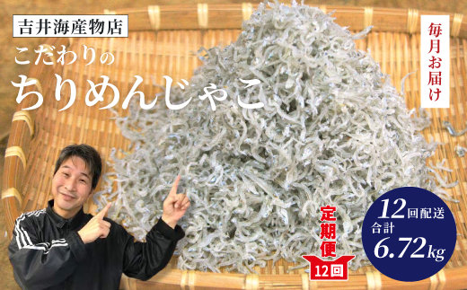 12回 定期便 こだわり の ちりめんじゃこ 560g 【毎月お届け】 計6.72kg 冷凍 小分け 便利 惣菜 海の幸 じゃこ 無添加 無着色 国産 小魚 魚介 海産物 シーフード グルメ お取り寄せ 25-753