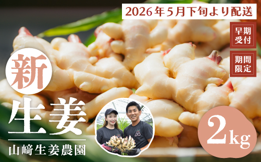 早期受付 期間限定 みずみずしさがたまらない 新生姜 約2kg【2026年5月下旬～9月上旬配送】高知県 高知 四万十市 四万十 しまんと 農作物 特産 しょうが 生姜 ショウガ 野菜 旬 新鮮 国産 先行 予約 ジンジャー 25-816
