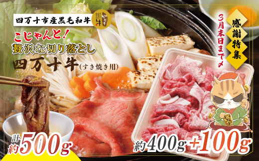 【感謝・期間限定100g付き】＜100個限定＞ 牧場直送 四万十牛（メス牛）こじゃんと贅沢な切り落とし（すき焼用）約500g（400g＋100g） 国産 高知 しまんと 四万十 牛 四万十牛 メス牛 牧場直売 肉 牛肉 和牛 黒毛和牛 ご褒美 贅沢 ロース ローススライス 牛モモ 牛バラ 切り落とし すき焼き しゃぶしゃぶ 【2026年3月31日まで受付】 26-529Z