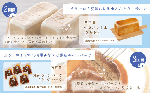 【5回定期便】男性一人暮らしさんのための定期便 定期便 四万十市 四万十 高知 高知県 しまんと 鰹 かつお かつおのたたき たたき 月替わり 牛肉 ハンバーグ 煮込みハンバーグ 四万十牛 ピザ ピッツァ ガトーショコラ 冷凍 食パン パン 送料無料 お取り寄せ 25-0018